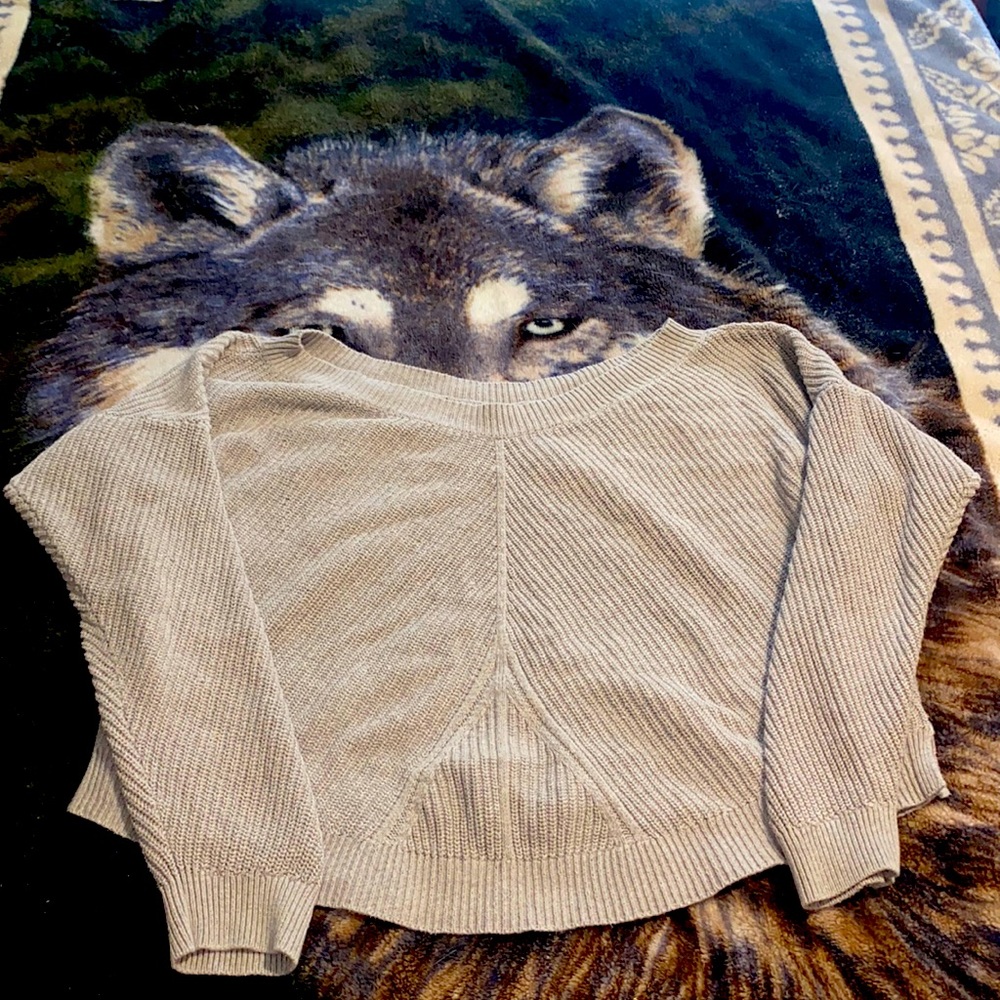aerie sweater